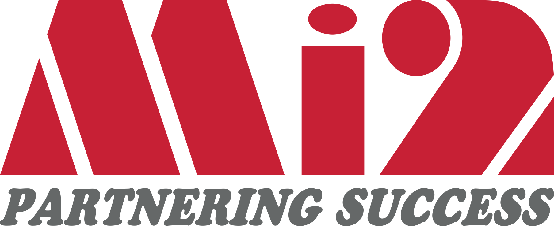 Mi Mi Informatics Joint Stock Company